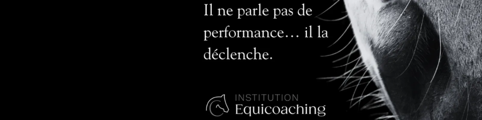 Visuel Afterwork Découverte Adhérents - Alison Hennebil