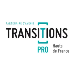 Visuel Transitions Pro