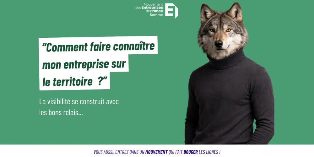 Le loup et la force du réseau : une leçon collective pour les entreprises du territoire