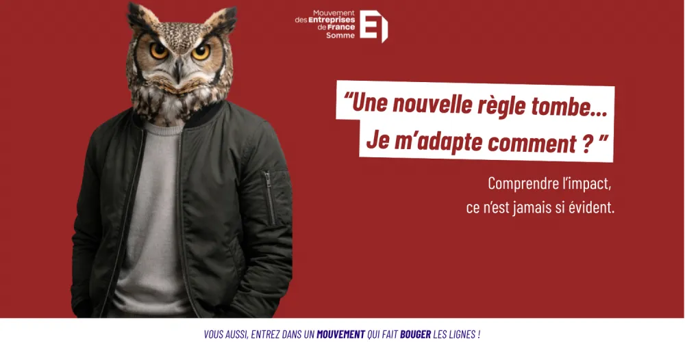 Le hibou et la lecture des règles : voir clair dans la complexité pour mieux diriger