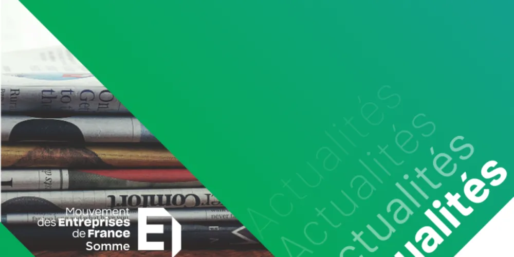 Actualités Emploi-Formation - novembre 2024