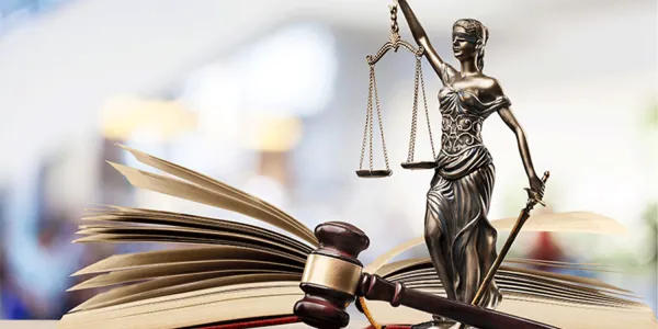 visuel Les nouvelles jurisprudences