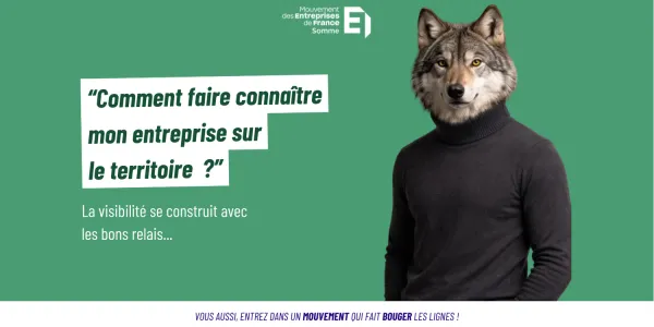visuel Le loup et la force du r&eacute;seau : une le&ccedil;on collective pour les entreprises du territoire