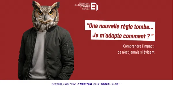visuel Le hibou et la lecture des r&egrave;gles : voir clair dans la complexit&eacute; pour mieux diriger