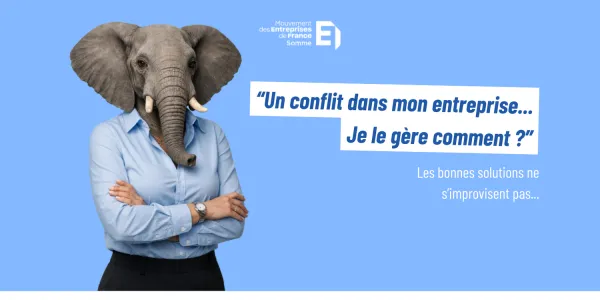 visuel L&rsquo;&eacute;l&eacute;phant et la gestion des conflits : une force tranquille au service des entreprises du territoir
